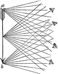 "These pencils of rays not only flow from the points designated in the figure, but in the same manner from every other point on the surface of a visible object." -Comstock 1850
