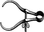 Calipers used to take measurements; using compasses with curved legs, for measuring the diameter, of round bodies.