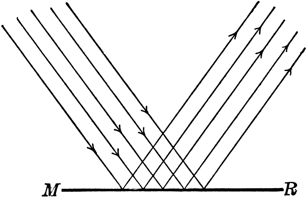 regular reflection definition physics