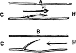 Diagram to illustrate the mood of action of the valves of the veins. Labels: C, the capillary; H, the heart end of the vessel.