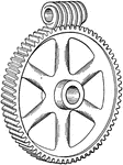 Righthand single thread worm and worm wheel.