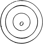 Illustration of concentric circles.