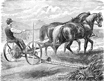 Buckey mower pulled by a team of horses, 1901