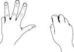 An illustration of hands depicting 4 European Style