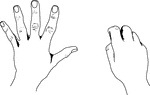 An illustration of hands depicting 5 European Style