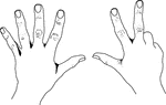 An illustration of hands depicting 8 European Style
