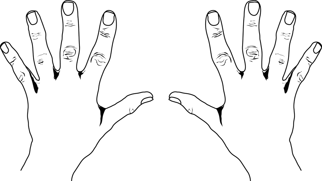 left and right hands