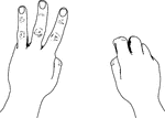 An illustration of hands depicting 3 US Style