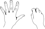 An illustration of hands depicting 5 US Style