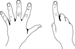 An illustration of hands depicting 6 US Style