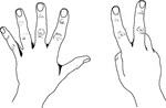 An illustration of hands depicting 7 US Style