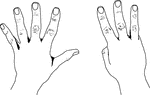An illustration of hands depicting 8 US Style