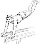 Man exercising on parallel bars.