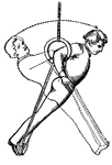 The Gymnastics ClipArt gallery offers 36 illustrations of gymnastics equipment and stances that can be done with the equipment.