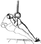 Boy exercising on the rings.