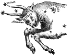 Taurus or the bull constellation.