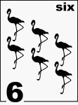 English Counting Card featuring illustrations of six Flamingos.