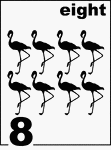English Counting Card featuring illustrations of eight Flamingos.