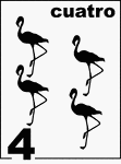 Spanish Counting Card featuring illustrations of four Flamingos.
