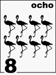 Spanish Counting Card featuring illustrations of eight Flamingos.