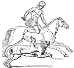 Bellerophon and the Chimera