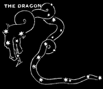 Constellation: The Dragon