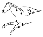 Constellation: The Winged Horse