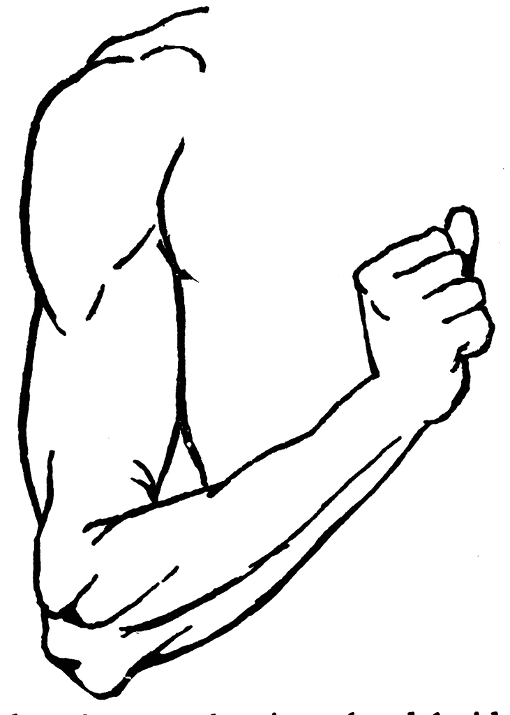Arm Clip Art