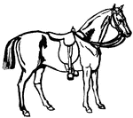 Horse with saddle.