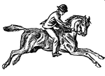 Position in riding.