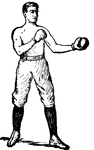 Position of the boxer.