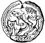 Coin of the city of Acanthus.