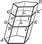 Illustration of the sections of a prism made by parallel planes cutting all the lateral edges into equal polygons.