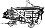 Thresher with feedre, wind stacker, and elevator with wagon spout.