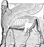 Winged bull from Assyria.