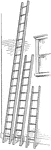 Illustration of 3 ladders leaning against the side of a building (wall) to form right triangles. The distance from the base of the ladders to the wall is the same for all three ladders.