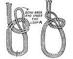 Bowline on a bight show in two stages. Note: the loop of a knot is called the "bright." The "standing part" of the rope is the part opposite the free end.