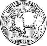 Reverse side of American five cent piece with buffalo (minted from 1913-1938).