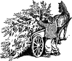 A man is loading his horse-drawn carriage with a large pine tree.
