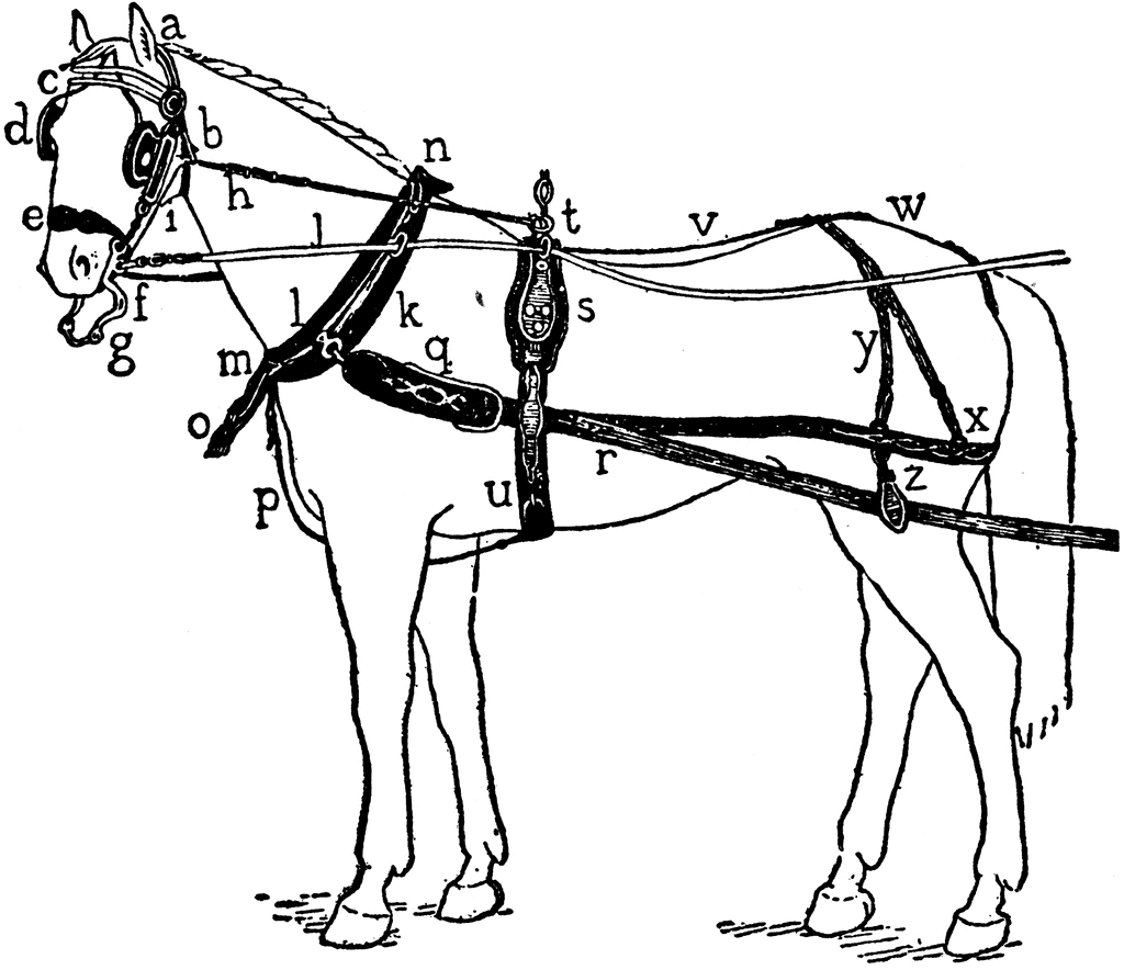 Harness | ClipArt ETC mule harness parts diagram 