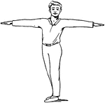 "Stand erect, arms outstretched to the side horizontally. Twist to left as far as possible, then twist to the right."