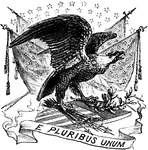 An iconic symbol of the United States: the bald eagle with olive branches and arrows.