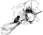 A fairy tale witch and her cat riding a broomstick.
