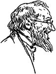 The profile of a man with glasses and a beard.