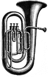 A brass instrument of the sax-horn family.