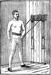 A man exercising with chest weights. In this position, he is extending his right arm across his back and moving his left arm upwards.