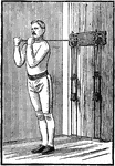 A man exercising with chest weights. In this position, he extends his arms forward and returns.