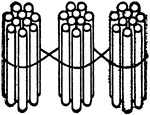 Illustration showing 3 bundles of ten sticks equals 30.