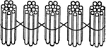 Illustration showing 5 bundles of ten sticks equals 50.