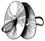 Thin plates, of a composition of cooper and tin, round in form, and slightly concave in the centre. They are clashed together producing various effects.